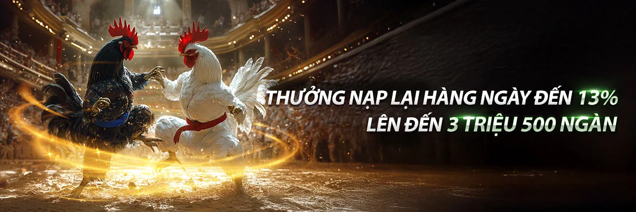 Tải ứng dụng cá cược đá gà Thomo 67 trên điện thoại